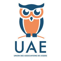 UAE ESDES